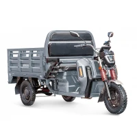 Грузовой электротрицикл Rutrike Антей Pro 1500 60V1200W серый